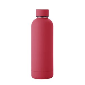 500ml Non-Sublimation Blank Stainless Steel Water Bottle