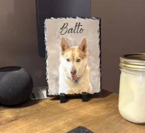 Square & Rectangular Rock Sublimation Slate Blanks Photo Frame photo review