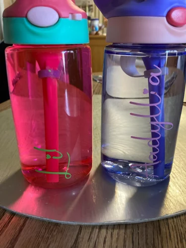 16oz Wholesale Plastic Kids Sippy Cup Water Bottle with Straw 60pcs photo review