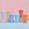 16oz Candy Color Plastic Acrylic Tumbler Coffee Cups With Straws 16oz Candy Color Plastic Acrylic Tumbler Coffee Cups With Straws