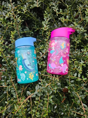 10oz 17oz Double Wall Acrylic Plastic Snow Globe Water Bottles photo review