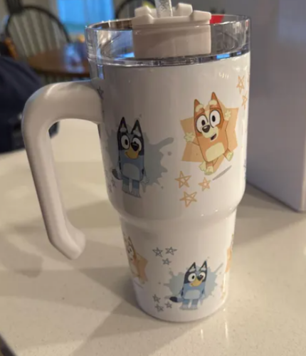 25pcs Besin 20oz Sublimation Stainless Steel Macaron Tumblers with Handle photo review