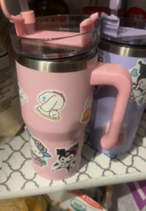 25pcs Besin 20oz Sublimation Stainless Steel Macaron Tumblers with Handle photo review