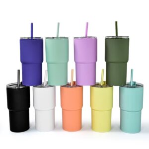 17oz Double Wall Acrylic Plastic Car Cups with Straws